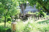 Der Trompetenbaum über dem Kutschenwagen: Die Catalpa im Breisacher-Garten von Ihringen