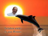 Delphin zieht es ins Ihringer Wasser: Thierry  Delphin kocht jetzt im Kaiserstuhlbad-Restaurant NachtWaid.