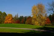 Auf dem Weg zum Herbst im Fulwellpark
