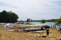 Ruderregatta am Feierwochenende