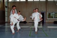 Toller Sport für Jung und Alt: Karate