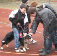 Braucht der Rettungshund Hilfe?