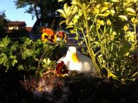 "Brütende Vielfalt 2011": Frau Ente dekoriert Blumen mit Eiern