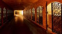 Licht am Ende des Tunnels? BWK zieht Kündigung bei Badischer Wein GmbH zurück