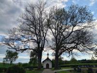 Friedhofskapelle Aasen: Ein Schmuckstücke in stiller Ruhe