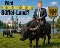 Naturschutzgroßprojekt Baar: Wird Donaueschingen Büffel-Land?