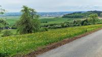 Blick vom Panoramaweg auf Donaueschingen