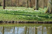 Blau-weises-Spiegeldbild von der Insel im Queen-Auguste-Victoria-Park