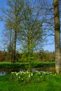 Queen-Auguste-Victoria-Park