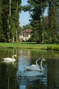 Blick durch den Baumtunnel des Queen-Auguste-Victoria-Park zum Schloss