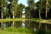 Perfekte Gartenkunst: Das Schloss am Ende des Baumtunnels spiegelt sich im See