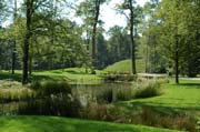 Verwunschene Landschaft zum träumen: Der Queen-Auguste-Victoria-Park im Sommer