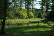 Typische Auenlandschaft im Queen-Auguste-Victoria-Park