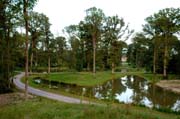 Blick durch den Baumtunnel im Queen-Auguste-Victoria-Park zum Schloss