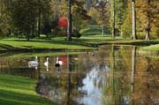 Der Herbst hält Einzug im Queen-Auguste-Victoria-Park. Bald werden die Blätter fallen