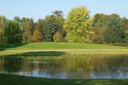 Wildentenleben am Schlossteich des Fulwellparks