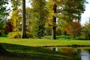 Sie dürfen stehen bleiben und ewig leben: Der Parkschöpfer hat die alten Eichen vor der Industrieholzproduktion gerettet