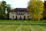 Schwäne weiden auf der Schlosswiese im Queen-Auguste-Victoria-Park