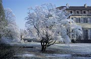 Fulwellpark im Winter