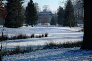 Gartenkunst im Fulwellpark: im Winter prägen die immergrünen Naldebäume das Bild