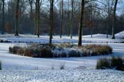 In Eis gelegt: die Insel im Fulwellpark