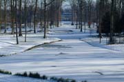 Am Ende des Baumtunnels mit den drei Teichen: Schloss Fulwellpark