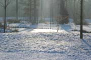 Lichtblicke im Fulwellpark