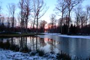 Winter im Fulwellpark mit Eis und Schnee