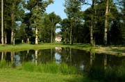 Alte Eichen