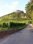 Viele Wege führen zur Burg