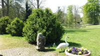 Krieg gegen den Buchsbaum-Fresser: Im Queen-Auguste-Victoria-Park bekam der Buchsbaumzündler „Cydalima perspectalis“  keine Chance.