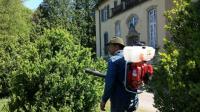 Krieg gegen Buchsbaumzünsler im Queen-Auguste-Victoria-Park: Ingo Müller spielt Henker des Buchsbaum-Mörders.