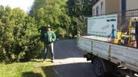 Notwehr gegen den Buchsbaum-Abfackler:  Ingo Müller beim Einsatz gegen den Buchsbaumzünsler  im Queen-Auguste-Victoria-Park.