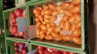 Banana Orange: Tomaten-Viefalt von Kilian Rudmann, dem Tomaten-Mann vom Kaiserstuhl. 