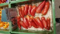 Andenhorn: Tomaten-Viefalt von Kilian Rudmann, dem Tomaten-Mann vom Kaiserstuhl. 