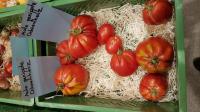 Ochsenherz, rot, gerrippt: Tomaten-Viefalt von Kilian Rudmann, dem Tomaten-Mann vom Kaiserstuhl. 