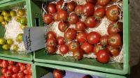 Purple Prince-Nyagous: Tomaten-Viefalt von Kilian Rudmann, dem Tomaten-Mann vom Kaiserstuhl. 
