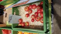 Berner Rose: Tomaten-Viefalt von Kilian Rudmann, dem Tomaten-Mann vom Kaiserstuhl. 
