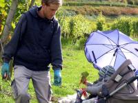 Jungwinzer Christian Lay vom Weingut Hubert Lay, Ihringen