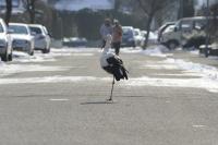 Rosenmontag in Umkirch