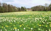 Frühling im Queen-Auguste-Victoria-Park Umkirch