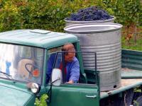 Ehrliche Arbeit und ehrlicher Öko-Wein: Badens heimlicher Spätburgunder-König Hubert Lay