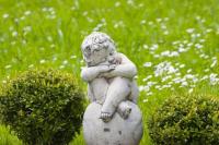 Braucht der Buchsbaum bald selbst einen Grab-Engel? Der Buchsbaumzünsler will den unsterblichen Buchsbaum sterblich machen.