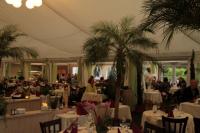 Rendezvous der Welt mit „König Aspargus“: Das Zelt-Restaurant auf dem Bohrerhof
