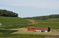Erivan Haub setzt sich auf den Kaiserstuhl: Haubs neue Abril-Weinburg in Bischoffingen