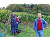 Familie Lay im Winklerberg: Keine Weingut-Manger und Marketing-Experten, sondern ehrliche Handwerker und Arbeiter in ihrem Weinberg.