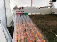 Traum-Hochzeiten: Rocco und Nicole Leone bitten zum Fest der Liebe in den fürstlichen Gutshof von Umkirch.