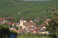 Blick auf das schöne Weindorf Jechtingen: Auch hier haben Erivan und Helga Haub Rebland gekauft.