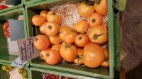 Orange-Coeur de boeuf: Tomaten-Viefalt von Kilian Rudmann, dem Tomaten-Mann vom Kaiserstuhl. 