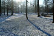 Der verschneite Fulwellpark und das Licht